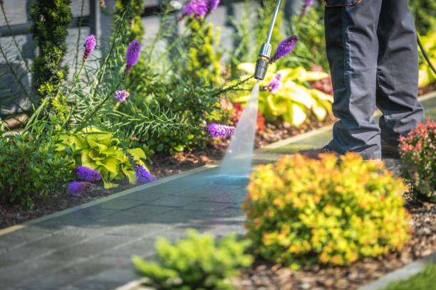 Best Patio and Deck Pressure Washing  in Newport, DE
